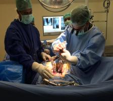 Minimal Invasive Spine Surgery